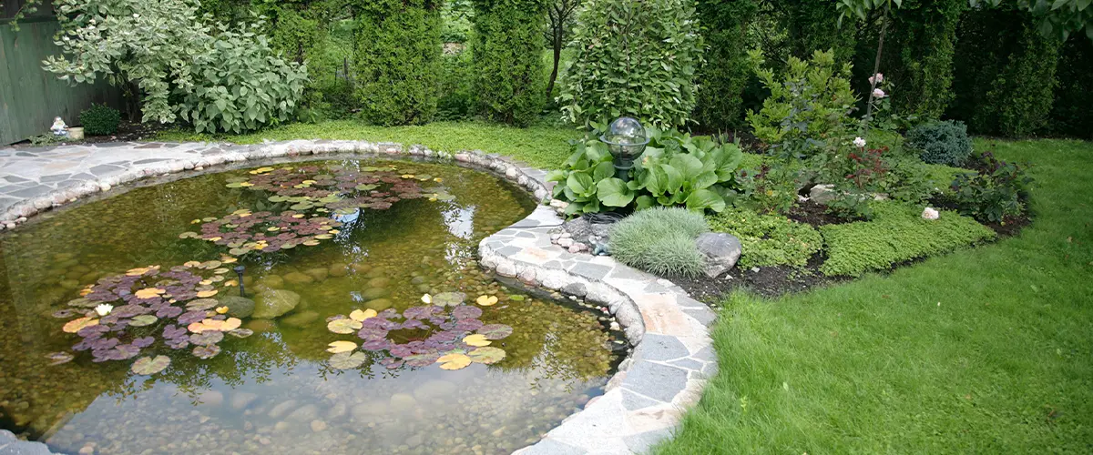 Beautiful backyard pond with stone edging, water lilies, and lush greenery creating a serene landscape design.