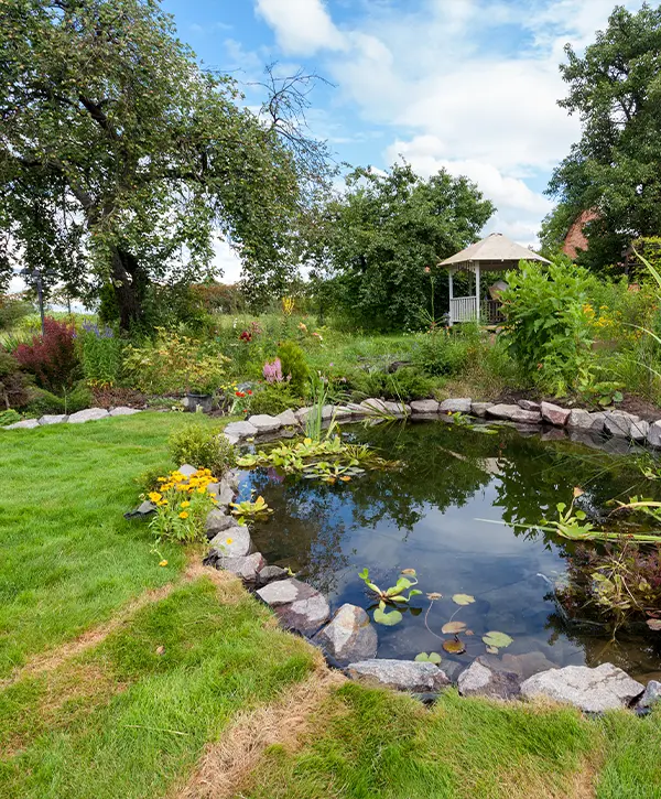 Pond Restoration In New Prague, MN