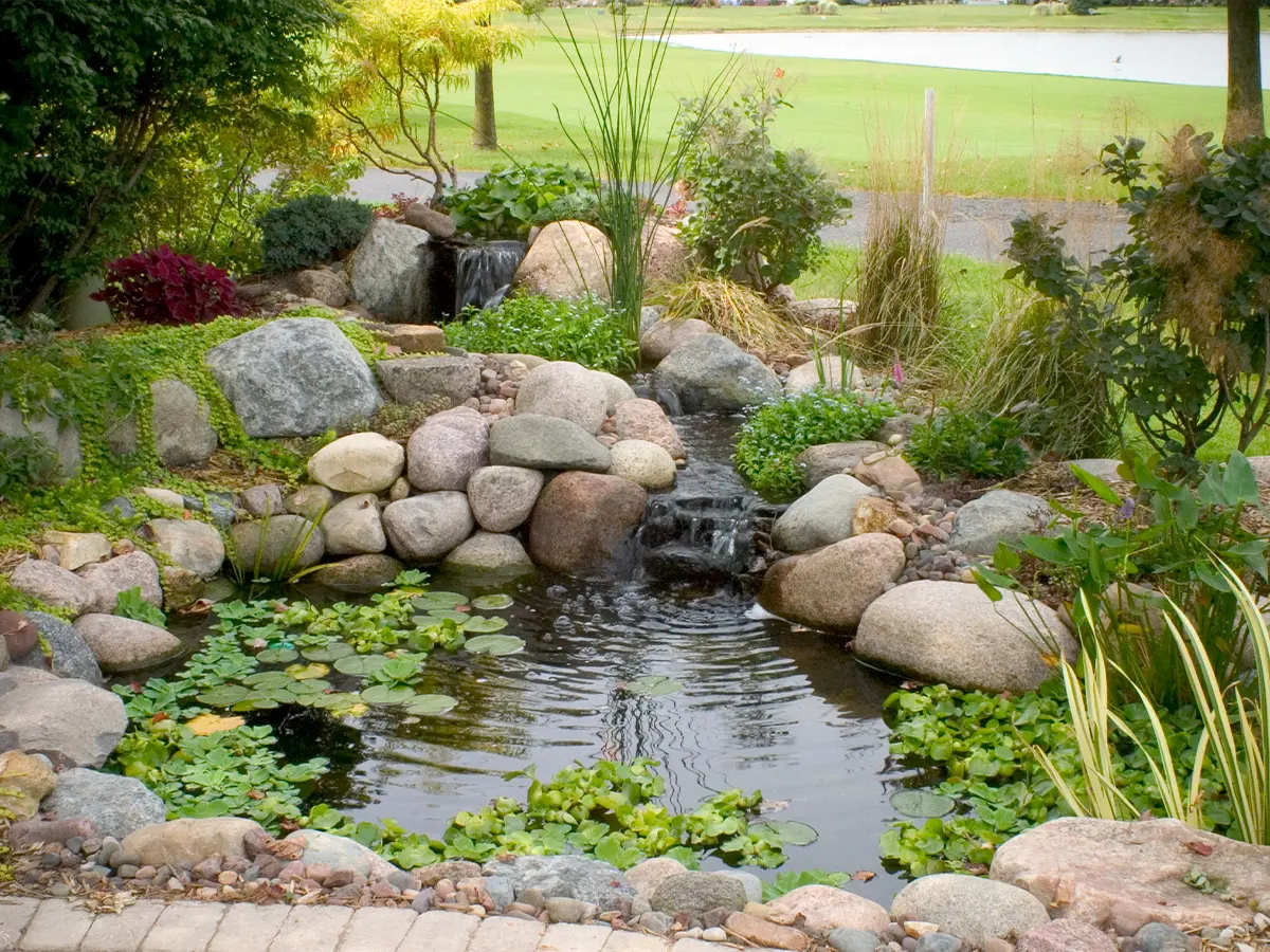 Garden pond with cascading waterfall, large stones, and lush plants, creating a tranquil outdoor retreat.