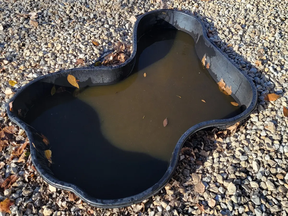 Unfinished backyard pond liner with muddy water, showcasing the initial stage of pond installation