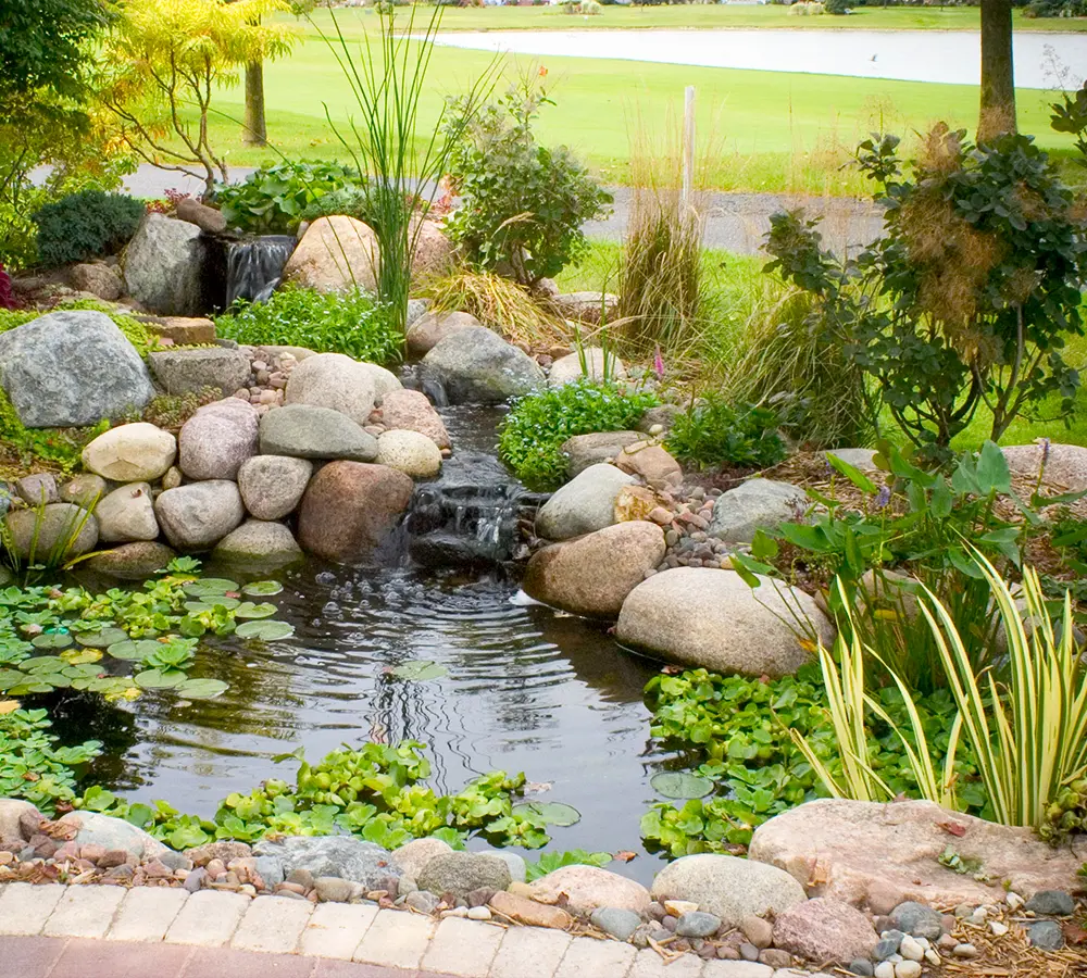 Backyard garden pond with cascading waterfall, natural stone borders, and surrounding greenery, creating a peaceful water feature