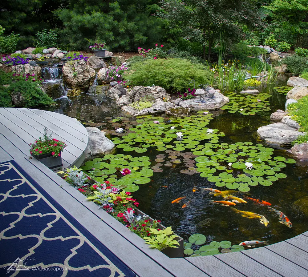 Backyard koi pond with lily pads, vibrant flowers, and wooden deck, creating a serene outdoor water feature