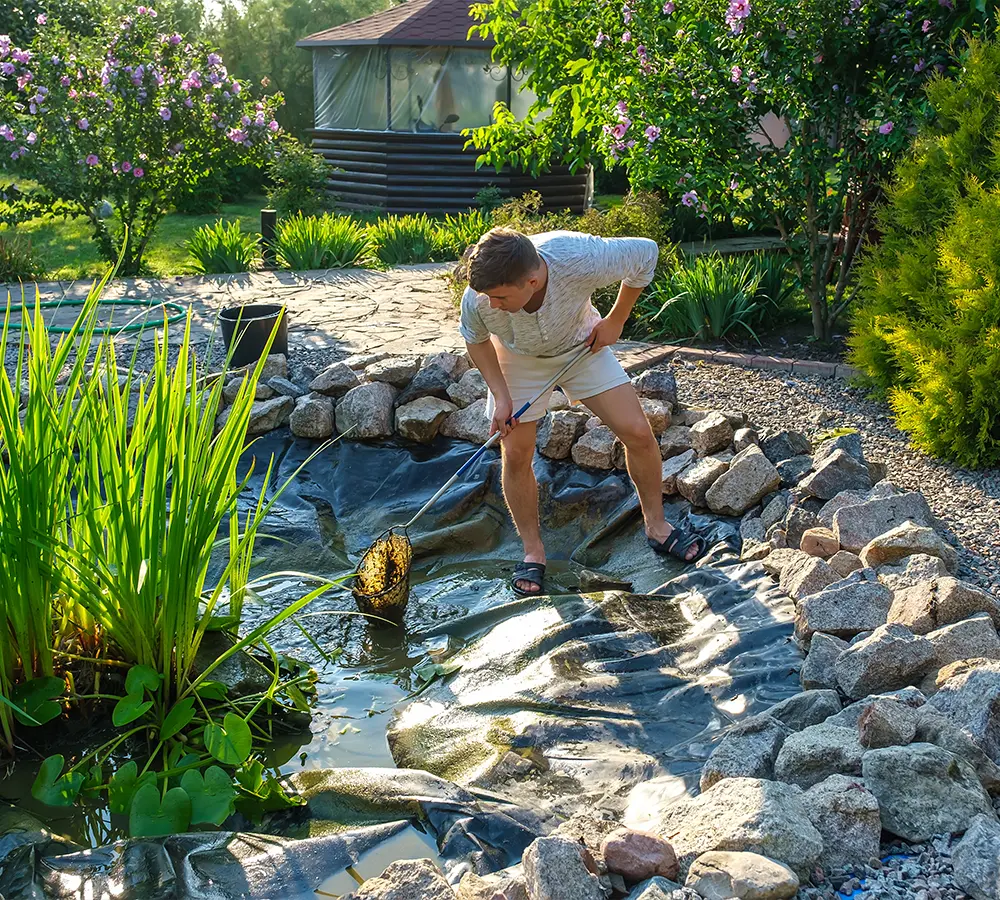 Technician cleaning a backyard pond, removing debris and maintaining water clarity to ensure a healthy ecosystem