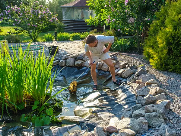 Technician cleaning a backyard pond with lush greenery and rocks for maintenance service