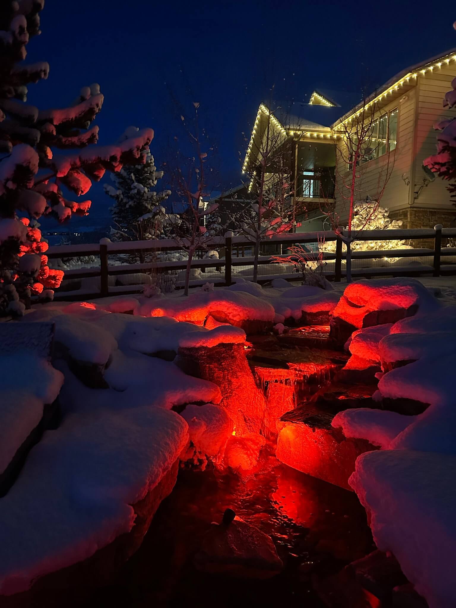 How to Get Your Pond Holiday-Ready for a Festive Christmas Season